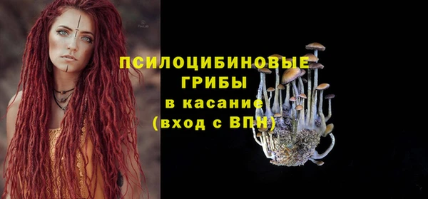 ECSTASY Абаза