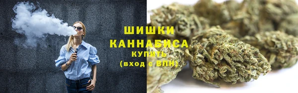 PSILOCYBIN Новозыбков
