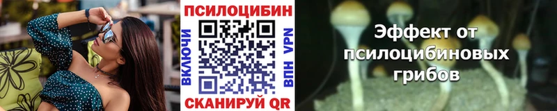 где можно купить   KRAKEN ссылка  Галлюциногенные грибы Cubensis  Яранск 